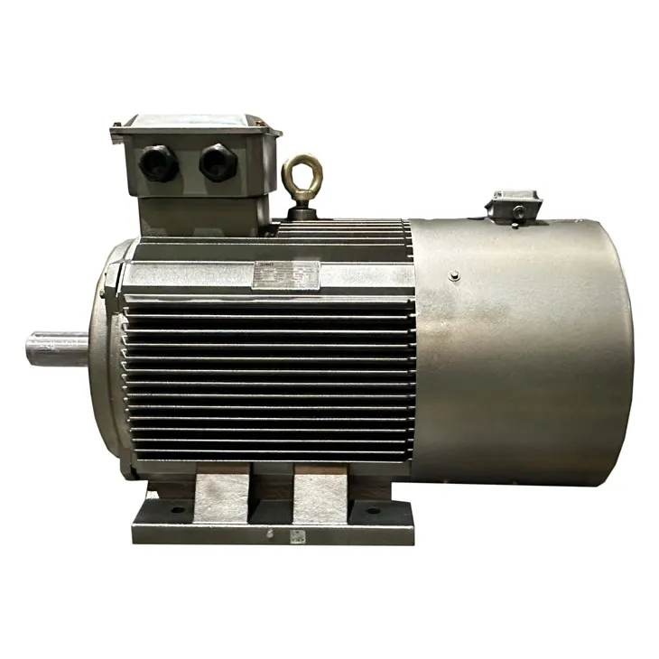 Frequenzgeregelter Motor